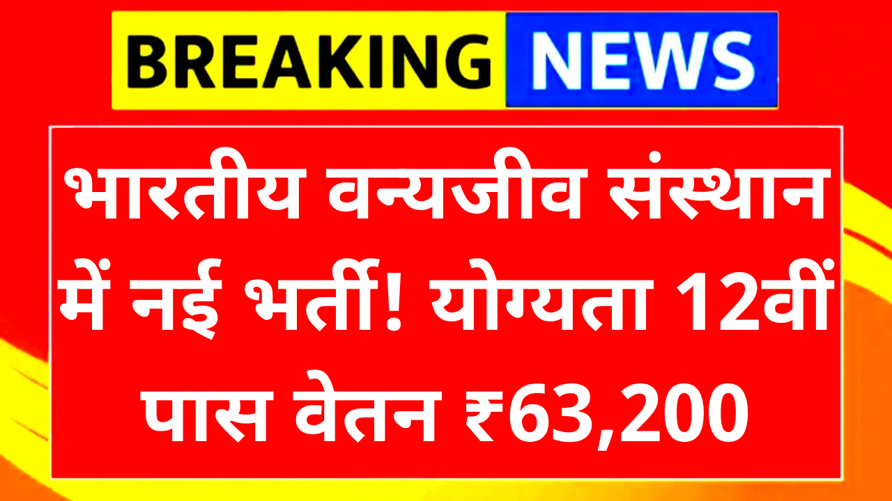 Wildlife Institute Recruitment 2025