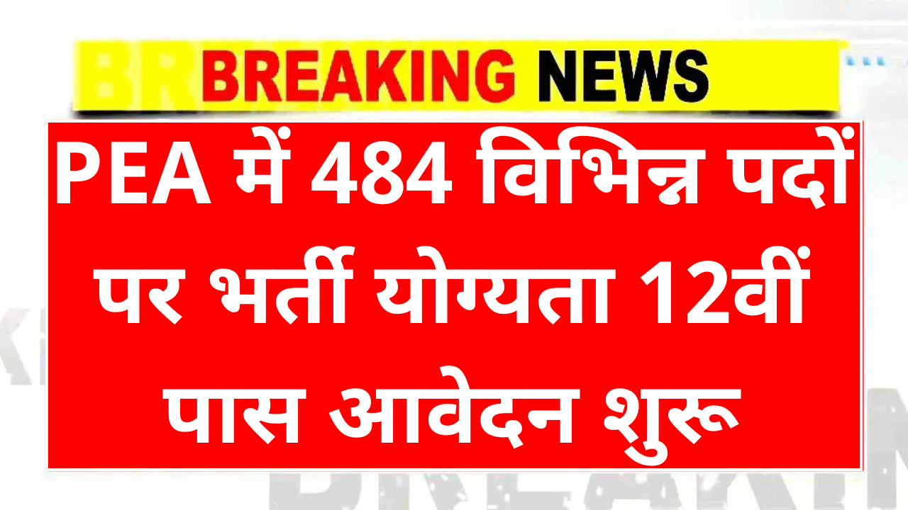 PEA Recruitment 2025