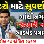 IPR Recruitment 2026: ઇન્સ્ટિટ્યૂટે ફોર પ્લસમાં રિસેર્ચ માં Authorized Medical Officer માટે સુવર્ણ તક! અરજી શરૂ