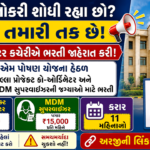 Patan Collector Office PM Poshan Yojana Recruitment 2026: પાટણ કલેક્ટર કચેરીમાં જિલ્લા પ્રોજેક્ટ કો-ઓર્ડિનેટર અને MDM સુપરવાઈઝરની ભરતી, ઓફલાઈન અરજી શરૂ