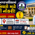 Lunawada Nagarpalika Recruitment 2026: City Manager (UWM)ની 1 જગ્યા માટે ભરતી, રૂ.30,000 પગાર