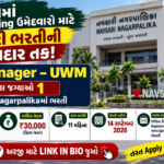 Navsari Nagarpalika City Manager Recruitment 2026: 11 મહિનાના કરાર પર ભરતી