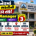 Wankaner Municipality City Manager Recruitment 2026: 11 મહિનાના કરાર પર ભરતી