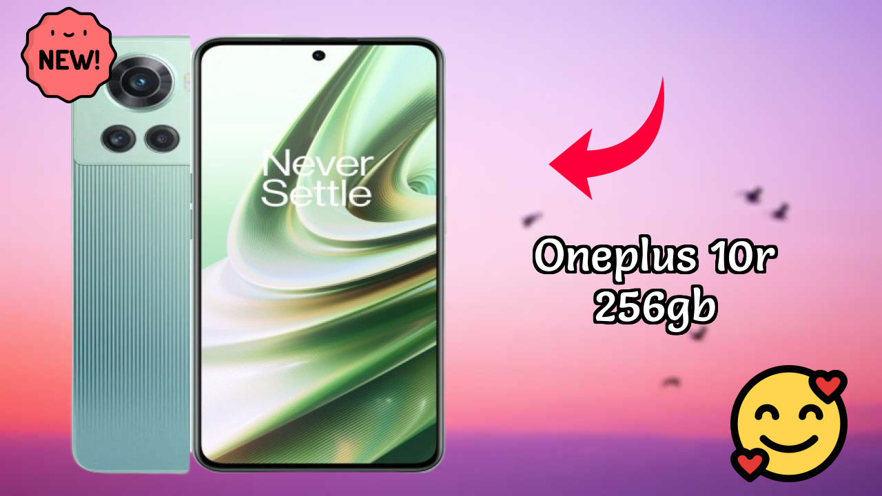 OnePlus 10R 256GB Camera Test: 50 MP + 8 MP + 2 MP Rear Camera Sample Shots