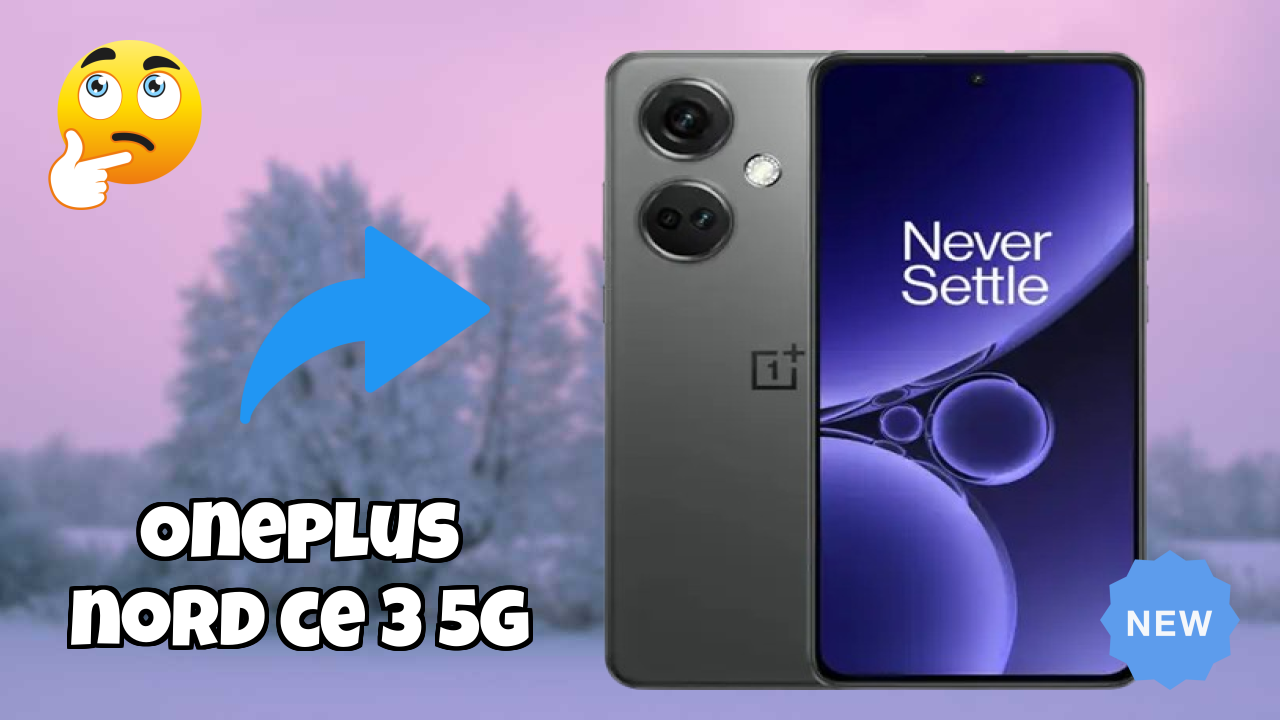 OnePlus Nord CE 3 5G Camera Samples: 50 MP + 8 MP + 2 MP Rear Camera Real Photos