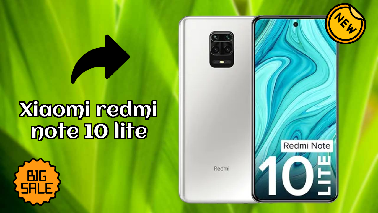 Xiaomi Redmi Note 10 Lite Camera Test: 48 MP + 8 MP + 5 MP + 2 MP Rear Camera Photo Quality